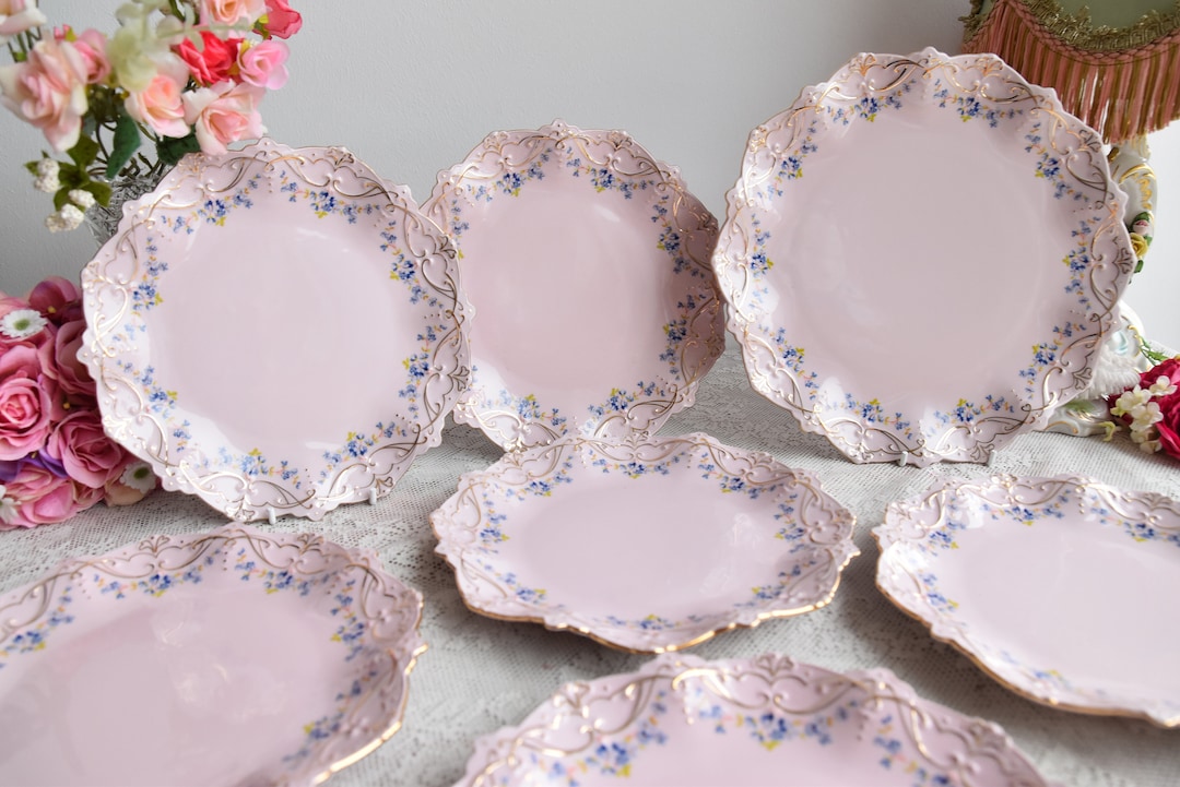 Vintage Plate Set Porcelain Dish Pink Porcelain Slav Porcelain Pink