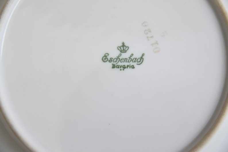 Eschenbach Bavaria Tea Cup Vintage Tea Cup Set Floral German Etsy