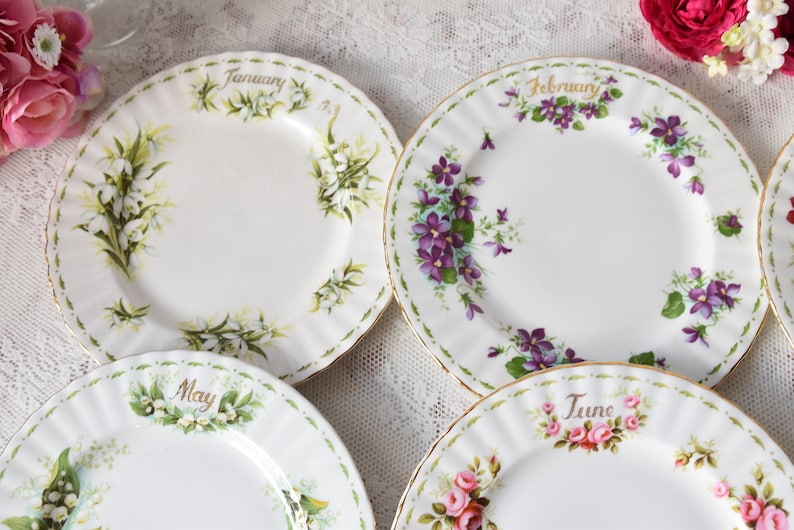 Flower of the month Royal Albert plate set full for 12 Etsy