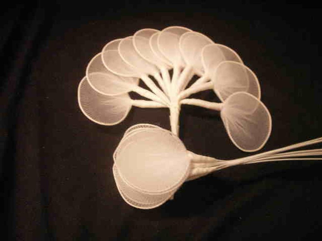 120 Leaves Jordan Almond Flowers Wire Holders for Wedding Favors Etsy