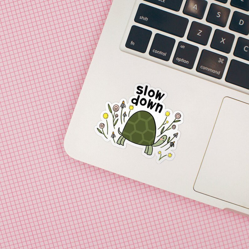 Op de afbeelding: Een witte laptop met een sticker erop. De sticker toont een cartoon schildpad met een groene schild die door een veld met bloemen loopt. De tekst "slow down" staat boven de schildpad.