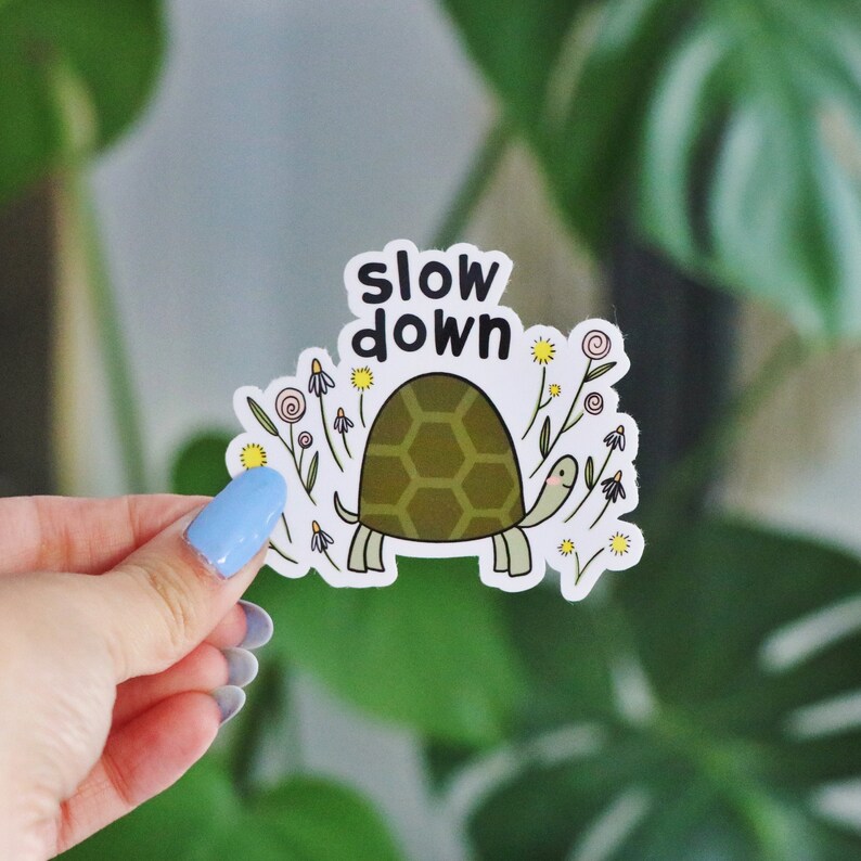 Op de afbeelding: Een witte sticker met een cartoon schildpad en bloemen. De schildpad is groen en heeft een schild met een zeshoekig patroon. De tekst "slow down" staat in het zwart boven de schildpad.