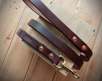 Stylish leather dog leash