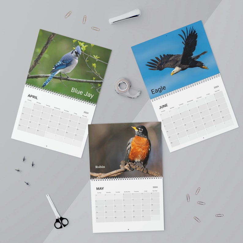 Calendar 2024 Bird Calendar 2024 Birds Calendar Bird Etsy Ireland