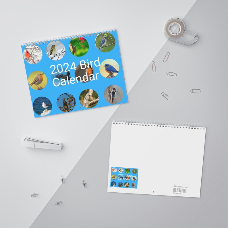 Calendar 2025 Bird Calendar 2025 Birds Calendar Bird Etsy Ireland