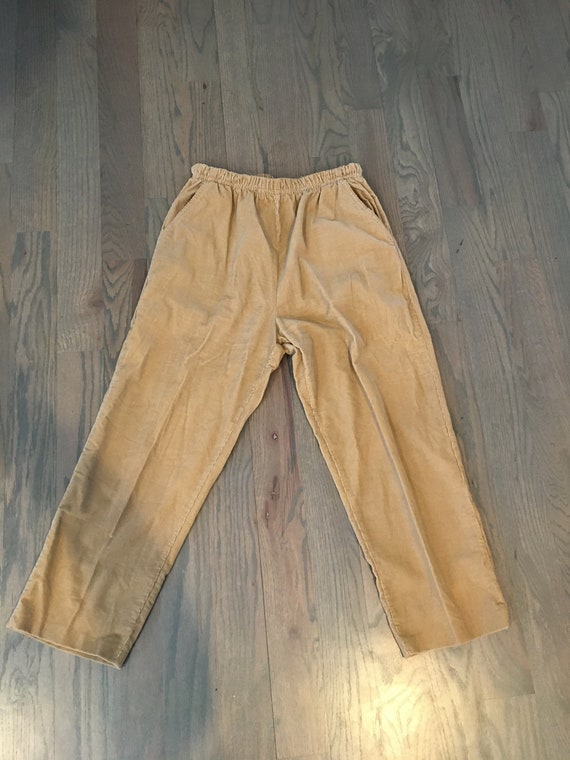 70s Light Brown, Velvet, Pants, Side Pockets, Ela… - image 1