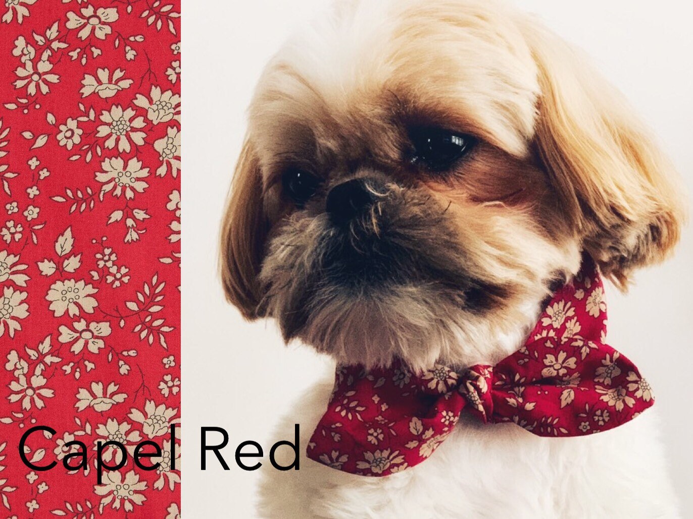 infrared basking spot