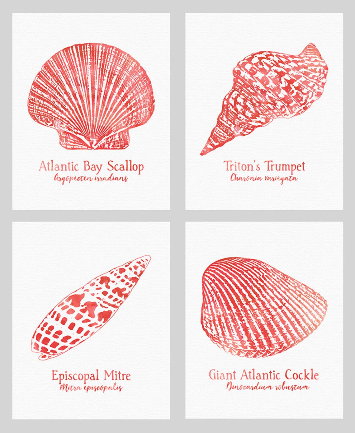 Set of 4 Printable Beach Decor Seashell Art Coral Watercolor - Etsy