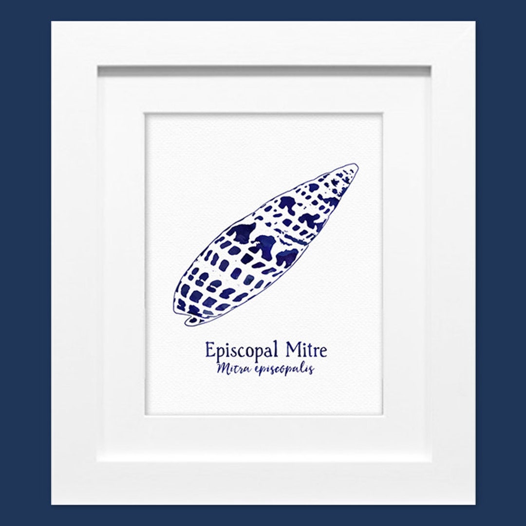 Digital Printable Navy Blue Watercolor Seashell Art Mitra Etsy
