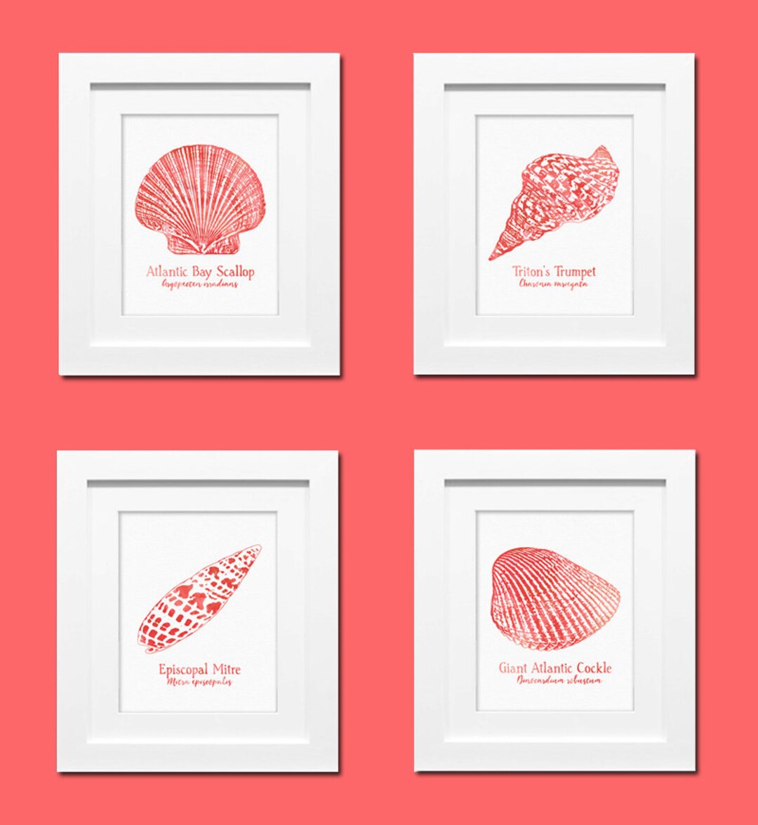 Set of 4 Printable Beach Decor Seashell Art Coral Watercolor - Etsy