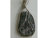 Crinoid Fossil Wire Wrapped Pendant