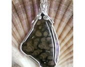 Wire wrapped Petrified Fern Wood Pendant