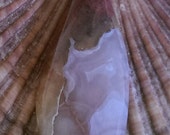 Geode Slice Cabochon