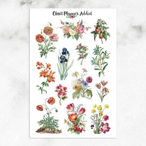 Pegatinas para planificador con motivos florales vintage / Pegatinas vintage / Flores de acuarela / Pegatinas florales / Flores de acuarela (MGB-AUG22)