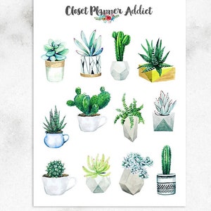 Aquarel vetplanten planner stickers | Sappige stickers | Cactusstickers | Plantenstickers | Plantenliefhebber (S-564)