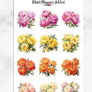 Adesivos de planejador de peônias coloridas em aquarela | Adesivos florais em aquarela | Adesivos de peônia (MGB-NOV2023)