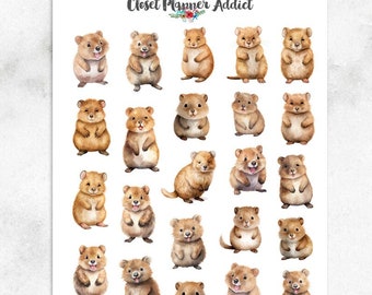 Cute Quokkas Planner Stickers | Australian Fauna | Australian Quokkas | Cute Australian Animal Stickers (S-674)