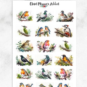 Pegatinas de planificador con pájaros del bosque / Pegatinas de pájaros en acuarela / Pegatinas para amantes de las aves / Pegatinas florales (MGB-MAY2023)