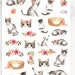 see more listings in the Animals Stickers section