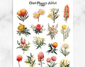 Australian Flora Planner Stickers | Australian Flowers | Australian Flora | Protea Flowers | Australian Wildflowers (S-682)