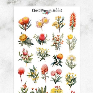 Australische Flora Sticker | Australische Blumen | Australische Flora | Protea Blumen | Australische Wildblumen (S-682)
