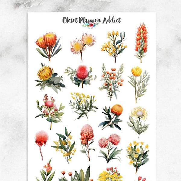 Australian Flora Planner Stickers | Australian Flowers | Australian Flora | Protea Flowers | Australian Wildflowers (S-682)