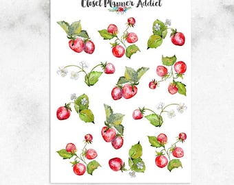 Strawberries Planner Stickers | Fruit Stickers | Watercolour Strawberries Stickers (S-462)