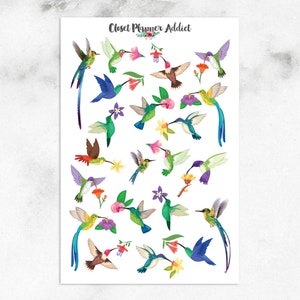 Adesivos coloridos para planejadores de beija-flores | Adesivos para pássaros | Adesivos para beija-flores | Adesivos florais | Adesivos coloridos para pássaros (S-662)