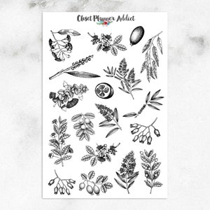 Myrtle familie planten planner stickers | Stickers mirte | Stickers Australische planten | Eucalyptusstickers (S-403)