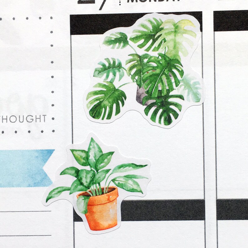 May include: Two watercolor stickers of potted plants. The first sticker is a green monstera plant in a brown pot. The second sticker is a green plant with long leaves in a brown pot.