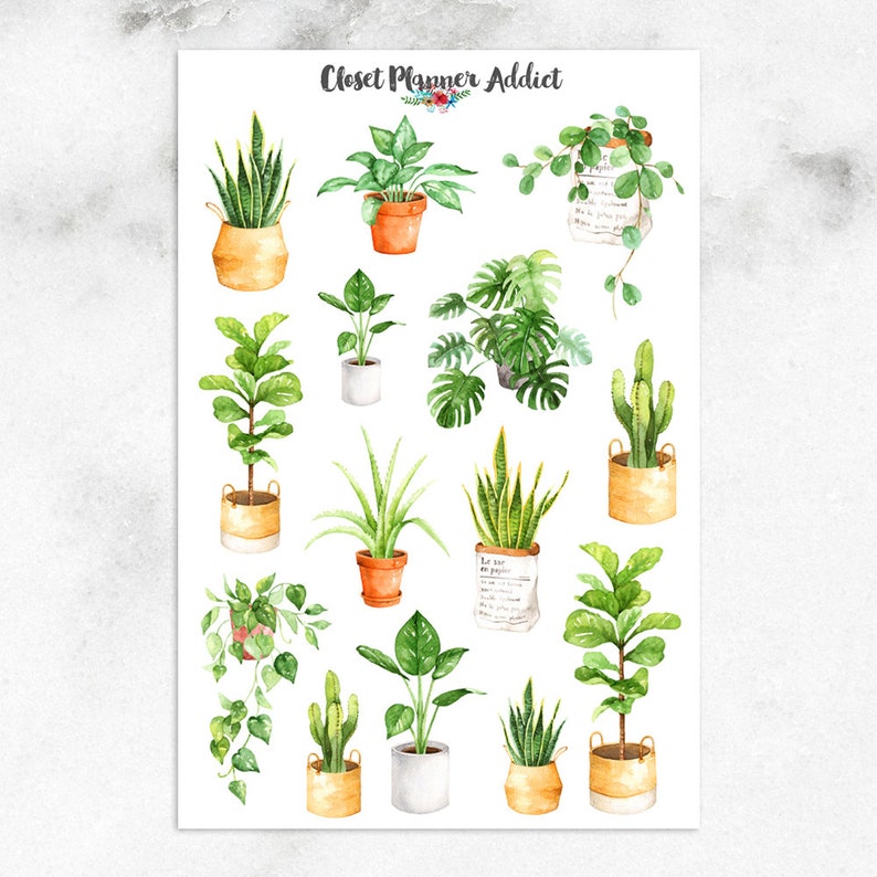 May include: A sheet of stickers featuring watercolor illustrations of potted plants. The stickers are perfect for adding a touch of greenery to planners, journals, and other paper goods.