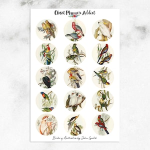 Pegatinas vintage para planificador con aves de Australia / Pegatinas vintage con aves (S-476)