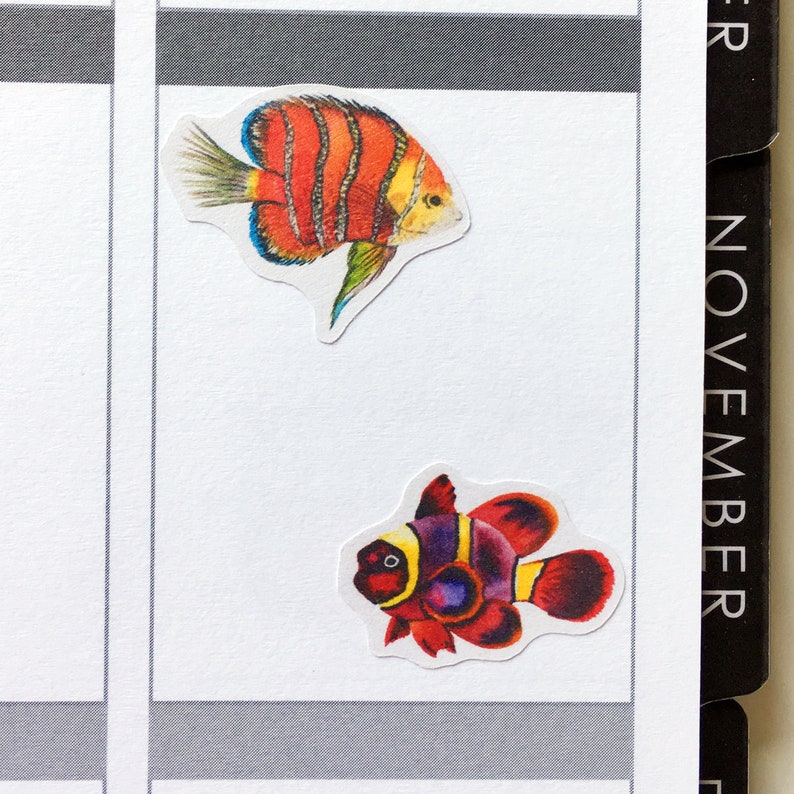 May include: Two colourful fish stickers. The first fish is orange, red, and yellow with black outlines. The second fish is red, purple, and yellow with black outlines.