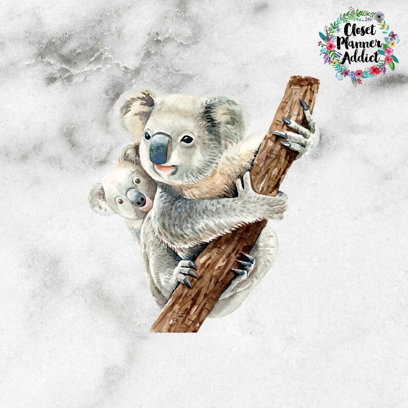 Koala Bears Die Cut Stickers Koala Bear Stickers Etsy
