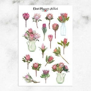 Protea planner stickers | Stickers Australische bloemen | Australische plantenstickers | Stickers aquarel bloemen (S-614)