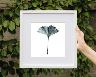 Ginkgo Watercolor Ink Painting Art Print Unframed