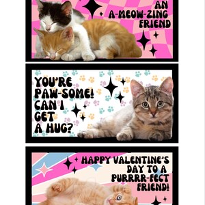 Kitty Valentijnsdag