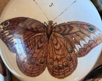 Small  Glass paperweight brown butterfly done in decoupage with antique  print as the subject matter.