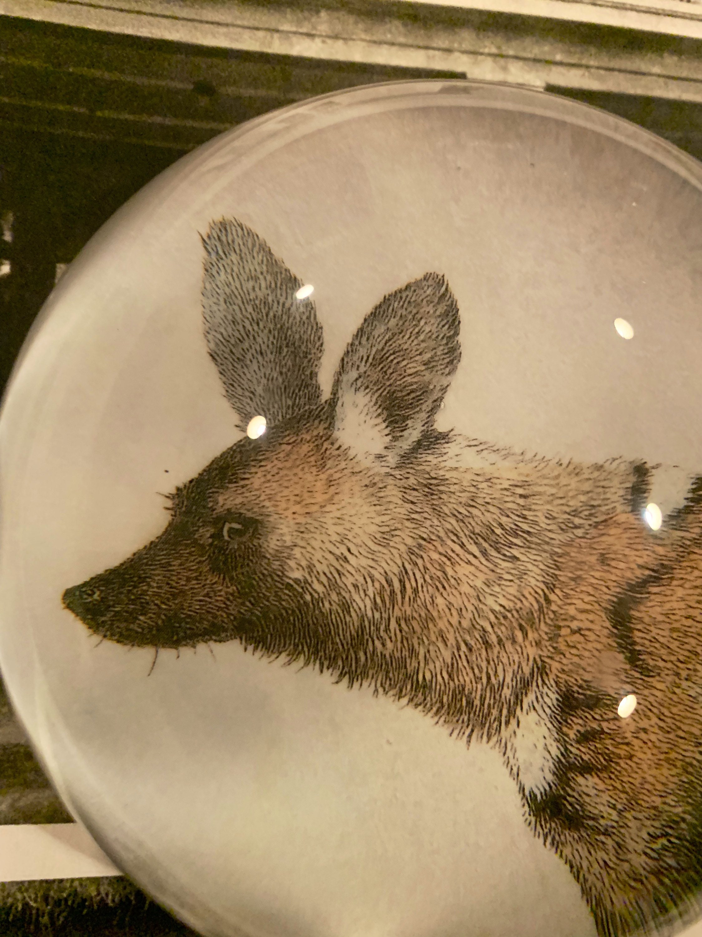 Large Glass Decoupage Paperweight Featuring a Beautiful Etsy