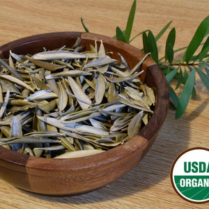 Organic Dried, Loose Olive Leaf - 1 ounce (approx. 2 cups) Olea europaea L. folium