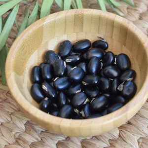 Organic Black Mucuna Pruriens Seeds, Velvet Bean Seeds, 15+ seeds - approx. 0.75 ounce