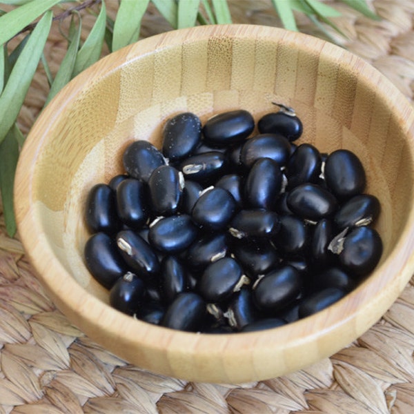 Organic Black Mucuna Pruriens Seeds, Velvet Bean Seeds, 15+ seeds - approx. 0.75 ounce