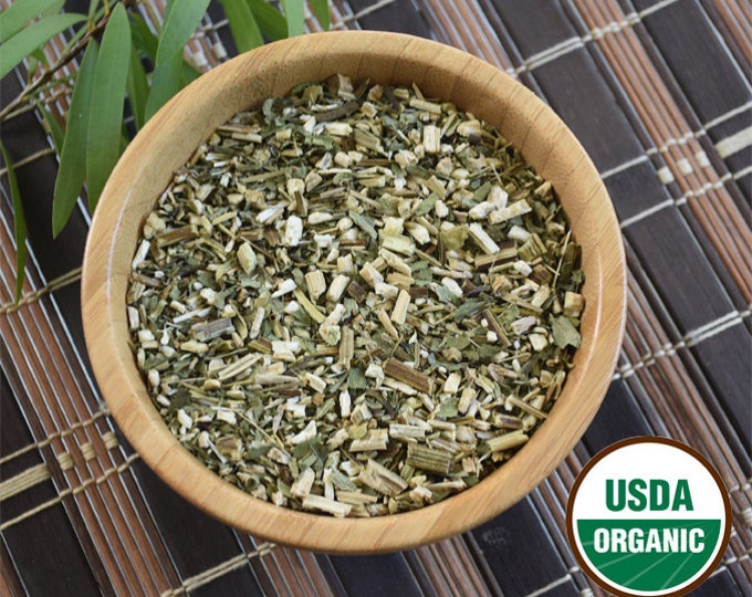 Echinacea Purpurea Root Etsy