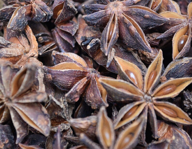 Organic Star Anise Whole Dried Loose 2 Ounces Illicium Etsy