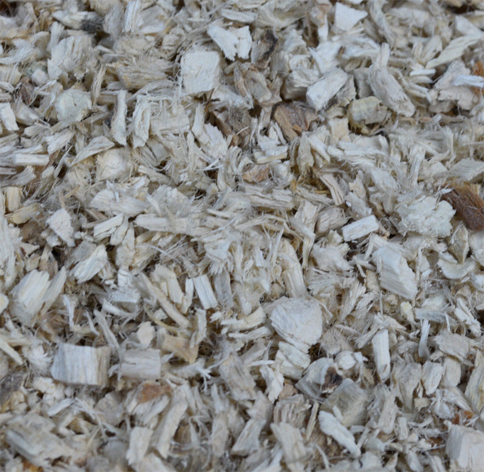 ORGANIC Marshmallow Root Dried Loose 1 Ounce Cut & Sifted. Etsy