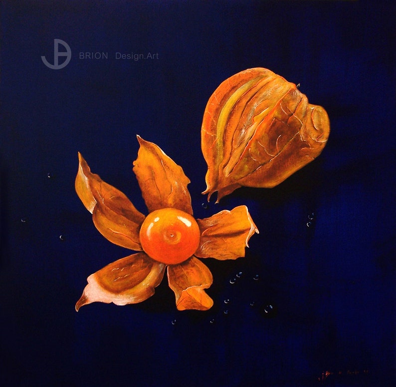 Physalis, hand painted, acrylic on canvas, 80cm x80cm image 1