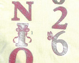 Senior class of 2027 Iron-Ons: Glitter Letters with Ribbon, Butterflies (5" Tall)