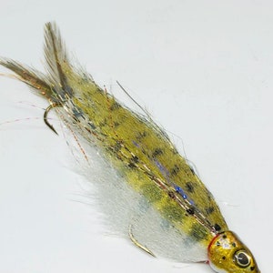 Baby Rainbow Trout Fly Articulated Fly Fishing or Spin Rod Lure by Drop Jaw  Flies 