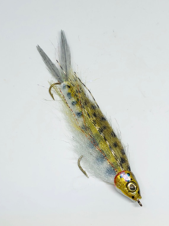 Baby Brown Trout Fly Articulated Fly Fishing or Spin Rod Lure by Drop Jaw  Flies 