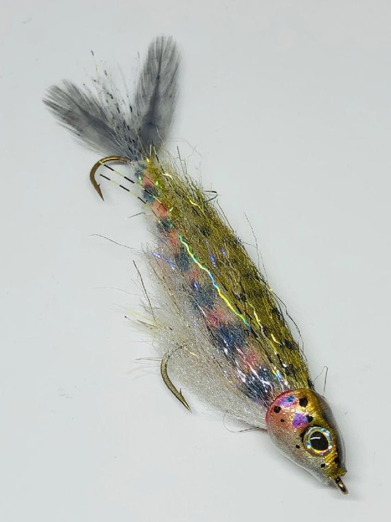 Baby Rainbow Trout Fly Articulated Fly Fishing or Spin Rod Lure by
